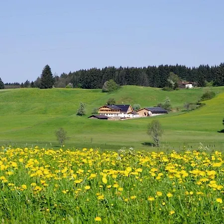 Characteristic In Apartamento Bernbeuren